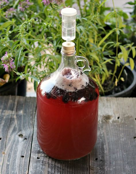 Blackberry Mead: One Gallon Recipe Mead Wine Recipes, Glechoma Hederacea, Homemade Wine Recipes, Distilling Alcohol, Mead Wine, How To Make Mead, Mead Recipe, Medieval Recipes, Homemade Alcohol