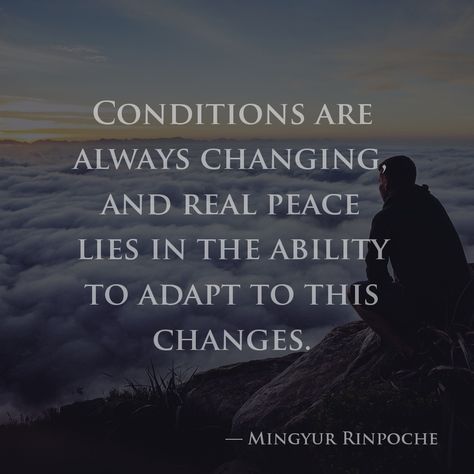 Conditions are always changing, and real peace lies in the ability to adapt to this changes. — Mingyur Rinpoche Buddhist Quotes, Positive Inspiration, Magic Words, Spiritual Wisdom, Change Quotes, Spiritual Inspiration, Way Of Life, Inspirational Quotes Motivation, Interesting Art