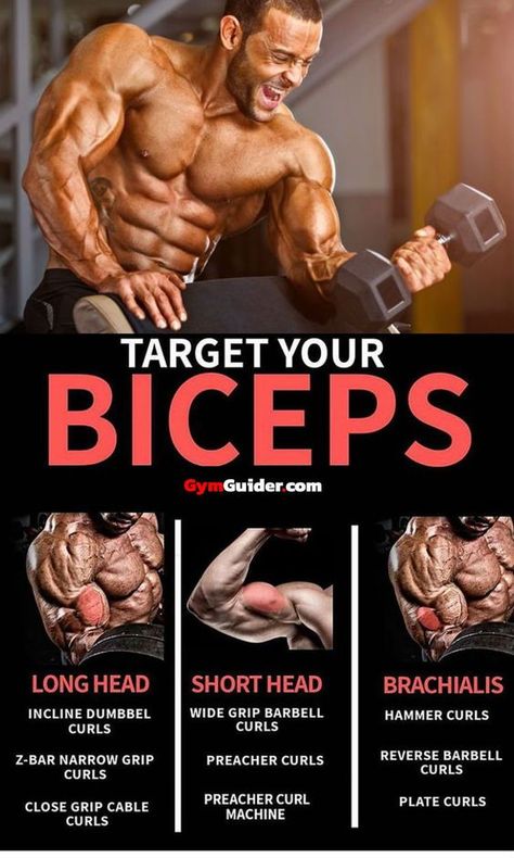 Bodybuilding Program, Big Biceps, Latihan Kardio, Weight Training Workouts, Biceps Workout, Bodybuilding Training, Gym Workout Tips, Bodybuilding Workouts, Muscle Fitness