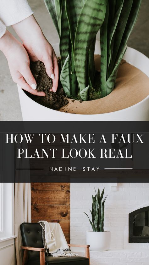 How to make a faux plant look real - how to make a fake plant look like it's planted in real soil. Use a pot and cardboard to turn a fake plant into a real looking plant. Interior design tips by Danica of Nadine Stay. #interiordesigntips #fauxplants #indoorplants #plants #snakeplant #DIYproject #modernhome Faux Outdoor Plants, Nadine Stay, Faux Plants Decor, Fake House Plants, Fake Plants Decor, Alpine Plants, Garden Types, Interior Plants, House Plants Decor