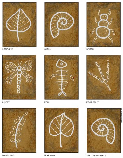 How to Draw a Fossil · Art Projects for Kids Dinosaur Art Projects, Fossils Activities, Line Art Projects, Science Art Projects, Fossil Art, Childrens Art Projects, Steam Projects, Art Trading Cards, Watercolor Circles