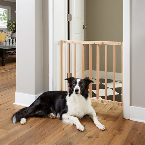 Primetime Petz Safety Mate Expandable Pet and Baby Gate Sturdy Wall Mountable Safety Gate for Hallways Stairs or Outdoor Use Fits Openings from 24.5â€ to 41â€ Natural ** Click image to review more details.-It is an affiliate link to Amazon. #dogfence Bottom Of Stairs, Retractable Gate, Stairs Width, Diy Safety, Wood Gate, Baby Gate, Baby Gates, Safety Gate, Dog Gate