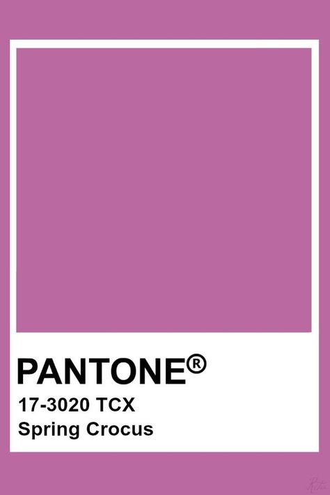 Spring Crocus Pantone, Pantone Purple, Purple Pantone, Spring Pantone, Pantone Tcx, Purple Crocus, Spring Crocus, Pantone Colours, Pantone Color Chart