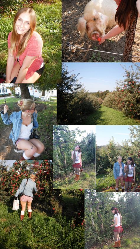 apple orchard pictures on digital camera Apple Picking Aesthetic, Orchard Pictures, Apple Orchard Pictures, Apple Orchard, Apple Picking, Digital Camera