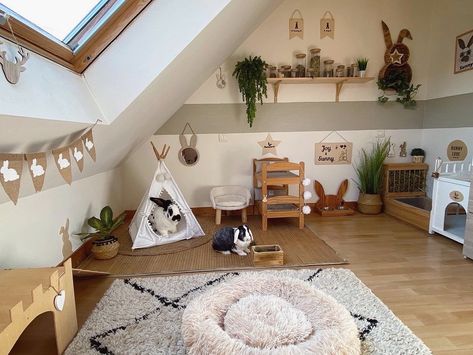 Bunny Organization Ideas, Rabbit Room Setup, Bunny Space Ideas, Rabbit Set Up, Rabbit Room Ideas, Rabbit Room Ideas Indoor, Bunny Room Ideas, Bunny Sanctuary, Bunny Enclosure