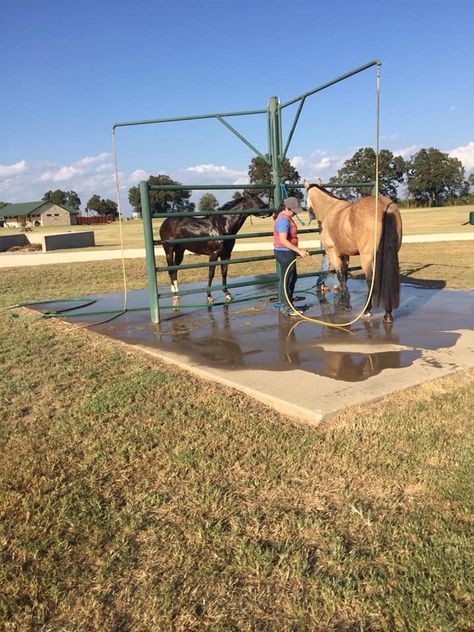 Diy Horse Paddock, Feed Room Organization Horse, Horse Halter Storage, Horse Grooming Stall, Horse Bathing Station, Horse Property Ideas, Wash Rack For Horses, Barn Hacks Horse, Horse Ranch Ideas