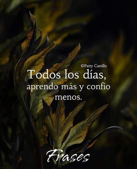 Seee Live And Learn Quotes, Good Morning Inspiration, Spanish Inspirational Quotes, Positive Phrases, Morning Inspiration, Learning Quotes, Book Drawing, Spanish Quotes, Life Inspiration