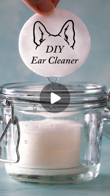 Rodney Habib on Instagram: "Your pet’s L-shaped ear canals make it hard for debris to exit and easy for bacteria and fungi to grow, especially if the ears are moist so this safe DIY ear cleaner can help! www.ForeverDogLife.com" Diy Dog Ear Cleaner Witch Hazel, Cat Ear Cleaner Diy, Diy Dog Ear Cleaner Recipes, Ear Wash For Dogs Diy, Diy Ear Cleaner For Dogs, Dog Ear Cleaning Solution Diy, Diy Dog Ear Cleaner, Stinky Dog Ears, Dog Ear Cleaner Diy