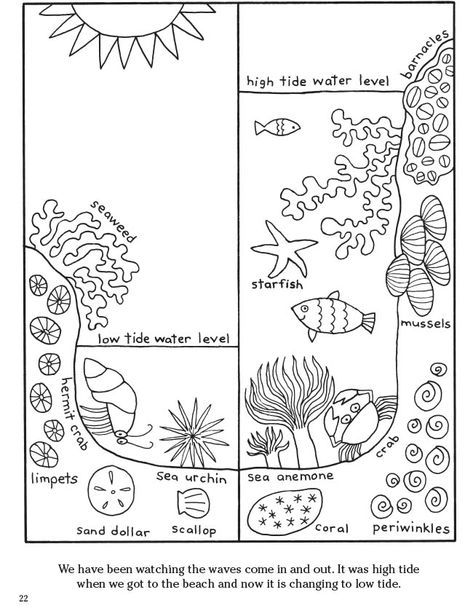 Welcome to Dover Publications Dover Publications Coloring Pages, Fairy Collage, Dover Publications Coloring, Birds Drawing, Elementary Art Classroom, Summer Homeschool, Biology Worksheet, Free Coloring Pages For Kids, Social Skills For Kids