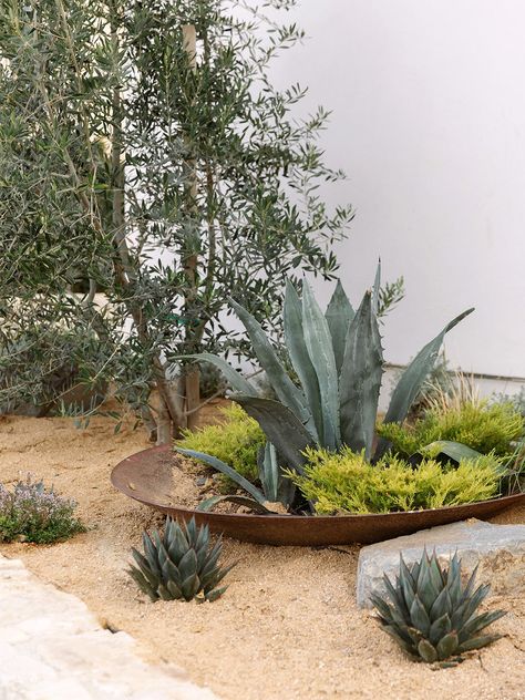 Palm Springs Garden, Cold Photography, Tabletop Grill, Shallow Planters, Boho Backyard, California Backyard, Garden Interior, Zen Gardens, Boho Outdoor