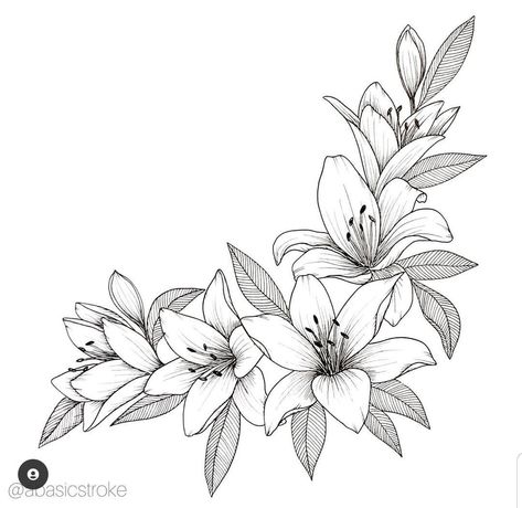 Lilly Tattoo Stencil, Lily Tattoo Stencil, Lily Flower Illustration, Tattoo Designs Floral, Tattoo Designs Sleeve, Lilly Tattoo Design, Lilly Flower Tattoo, Animal Tattoo Designs, Lilly Tattoo