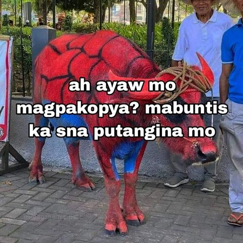 Exam Funny, Trash Meme, Funny Text Pictures, Filo Memes, Exams Funny, Filipino Memes, Tagalog Quotes Funny, Filipino Funny, Tagalog Quotes