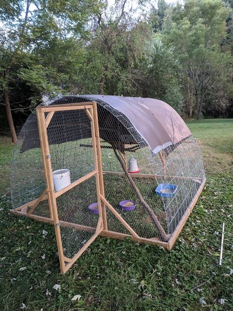 We use an 8.5'x8.5' cattle panel hoop coop to house our 4 Plymouth Barred Rock hens, Red, White, Blue, and Pink. I have about $250 in it to build. Maybe $300. We built it on a Sunday afternoon a week before our ladies were to arrive via post. We... Hoop Coop, Raising Meat Chickens, Chicken Tunnels, Quail Coop, Small Chicken Coops, Duck Coop, Cattle Panels, Chicken Tractor, Urban Chickens