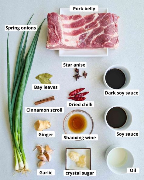 Pork Belly Stew Chinese, Chinese Red Braised Pork Belly, Pork Braised Recipes, Hong Shao Rou Recipe, Korean Braised Pork Belly, Red Braised Pork Belly, Japanese Pork Belly Recipes, Braised Pork Belly Recipes, Korean Pork Belly Recipes