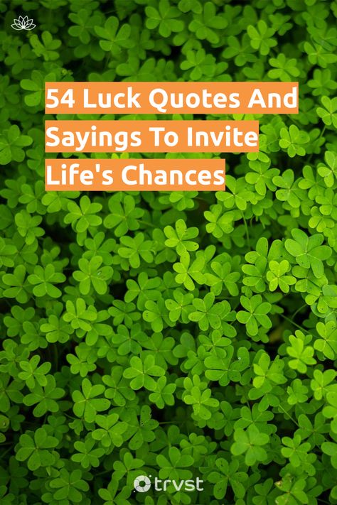 Explore the connection between chance and tenacity with our unique set of luck quotes. Gather wisdom from successful figures across diverse fields, and find balance in your journey! 🍀 Let's embrace life's possibilities! #LuckQuotes #Chances #LifeInspiration #Persistence #Motivation 2 Word Quotes, Work Skills, Luck Quotes, Find Balance, Good Luck Quotes, Embrace Life, Quotes By Famous People, People Talk, Word Work