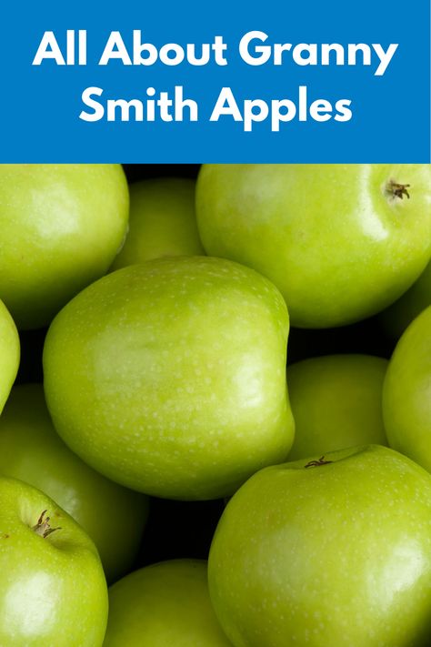 It’s one of the most recognizable apples around thanks to its bright green skin, famously tart flavor, and tremendous versatility in the kitchen. But, what do we really know about Granny Smith apples? Best Baking Apples, Best Cooking Apples, Apple Nutrition Facts, Baking Apples, Apple Facts, Best Apples For Baking, Best Baking, Apple Jelly, Apple Sausage