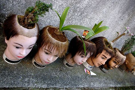 Head planters Hair Stations, Creepy Images, Hair School, Salon Suites, Head Planters, Graduation Hairstyles, Halloween Style, Mannequin Heads, Beauty School