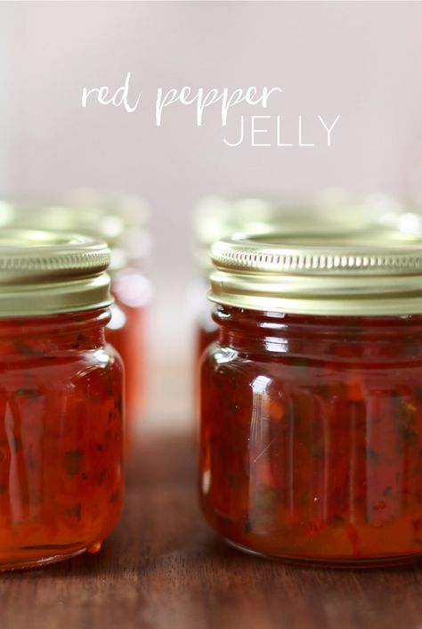 Step up your culinary game with this red pepper jelly guide. From crafting the perfect batch to serving and storing, we've got all the juicy details. Elevate your appetizers and entrees with this delightful condiment. Jalapeños Jelly, Red Pepper Jelly Appetizer, Pepper Jellies, Red Pepper Jelly Recipe, Jalapeno Jelly Recipes, Jalapeño Jelly, Different Types Of Food, Pepper Jelly Recipes, Jalapeno Jelly