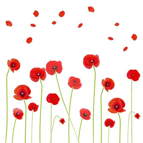 PRICES MAY VARY. Pack of 2 sheets red poppy flower wall decals, you will get a total of 44 stickers(16 poppy flower wall stickers,16 poppy stems wall stickers,12 petal wall stickers).Recommended finished size:55 x 24inch(140 x 60cm), you also can DIY it freely. Made of environmental PVC material,non-toxic and odorless, safe to use,waterproof,colorfastness,and does not up warp. DIY these cute wall decals with your kids,use your unlimited imagination and creativity to place these different shaped Cute Wall Decals, Floral Wall Stickers, Poppy Flower Painting, Tv Sofa, Red Sheets, Red Poppy Flower, Stick Wall Art, Reading Logs, Poppy Art