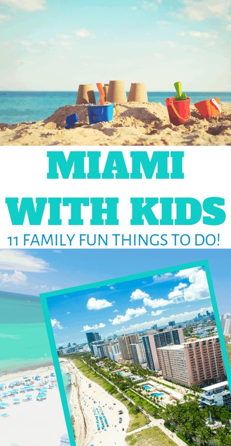 Miami With Kids, Crandon Park, Miami Travel Guide, Things To Do In Miami, Travel Florida, Miami Vacation, Miami Travel, Florida State Parks, Visit Florida