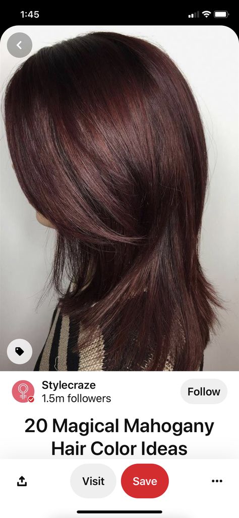 Burgundy Hair Colour For Indian Skin, Mahogany Hair Color Brown, Deep Red Brown Hair Color, Dark Brown Red Hair Auburn, Dark Reddish Brown Hair Color, Chocolate Brown Hair With Red Tint, Red Toned Brown Hair, Dark Brown Hair With Red Undertones, Dark Mahogany Brown Hair