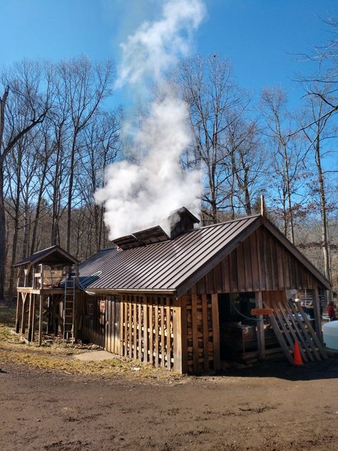 Booking maple sap at Malabar Farm State Park Maple Syrup Shack, Sugar Shack Plans, Diy Maple Syrup, Mini Chalet, Hunting Property, Sugar Bush, French Canadian, Homemade Syrup, Sugar Shack