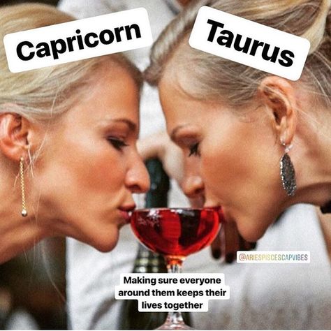 Capricorn Meme, Taurus Energy, Capricorn Taurus, Taurus Memes, Capricorn Aesthetic, Capricorn And Taurus, Libra And Taurus, Capricorn Life, Taurus Zodiac Facts