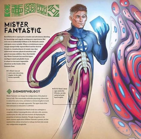 Marvel Anatomy, Mr Fantastic, Reed Richards, Superhero Facts, Marvel Concept Art, Marvel Character Design, Mister Fantastic, Marvel Facts, Marvel Superheroes Art