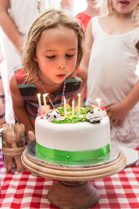 Petting Zoo Ideas, Petting Zoo Birthday Party, Petting Zoo Birthday, Petting Zoo Party, Farm Animal Cakes, Zoo Birthday Party, Cake Photoshoot, Zoo Ideas, Birthday Party Photography