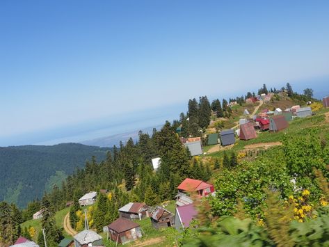 #gomimountain #guria #Georgia #fores #sunrise #mountain #nature #mountains #landscape #travel #snow #hiking #photography #winter #adventure #trekking #naturephotography #sky #photooftheday #travelphotography #landscapephotography #outdoor #sunset #instagood #naturelovers #picoftheday #outdoors #photo Guria Georgia, Travel Snow, Snow Hiking, Sunrise Mountain, Georgia Country, Hiking Photography, Photography Winter, Mountain Nature, Nature Mountains