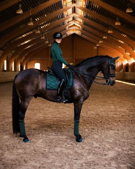 Horse Lifestyle, English Horse Tack, Equestrian Dressage, Horseback Riding Outfits, Horse Riding Outfit, Equestrian Aesthetic, Equestrian Chic, Riding Clothes, English Horse