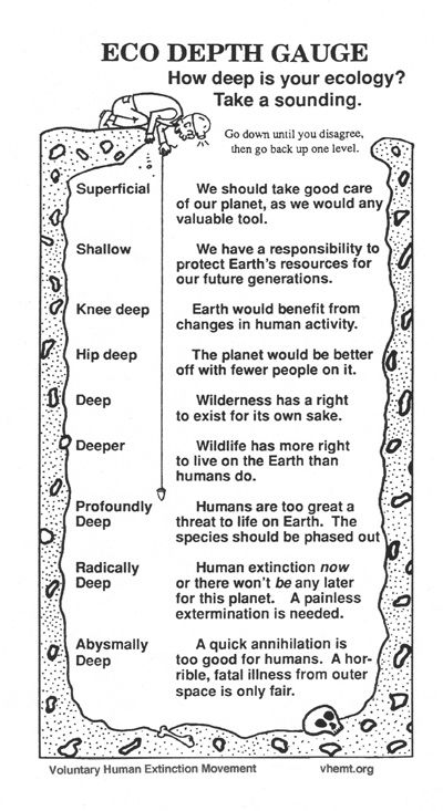 Where do you stand? Fire Ecology, College Presentation, Deep Ecology, Oberlin College, I Want Peace, Simple Person, Essay Format, Study Board, Writing Exercises