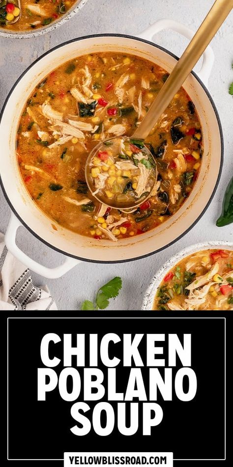 Creamy Chicken Poblano Soup Crockpot, Instant Pot Poblano Soup, Soup With Poblano Peppers, Chicken Pablano Soup, Chicken Plobanos Soup, Poblano Soup Mexican, Poblano Chicken Chowder Soup, Chicken And Poblano Soup, Chile Poblano Soup