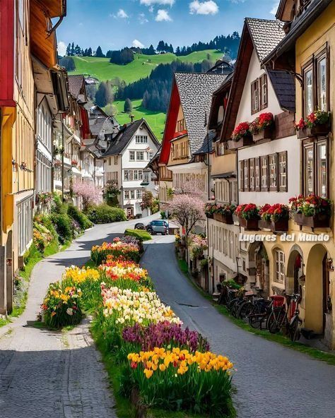 Switzerland House, Switzerland Cities, Spring Trip, Beautiful Villages, Beautiful City, Beautiful Places To Travel, Travel Goals, Beautiful Places To Visit, Nature Travel