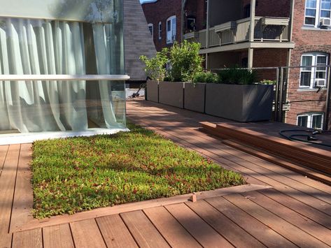 Rooftop Yoga Deck — Recover Green Roofs Outdoor Yoga Studio, Rooftop Yoga, Green Roof Planting, Yoga Deck, Roof Plants, Green Roof Design, Cascade Lights, Green Roofs, Residential Schools