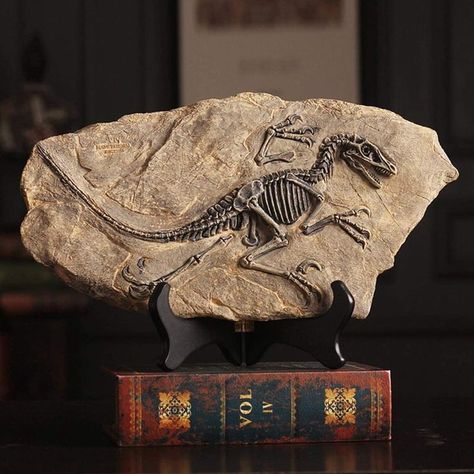 Resin Dinosaur Fossil Statues Stone Decoration, Dinosaur Fossil, Dinosaur Skeleton, Dinosaur Decor, Dinosaur Fossils, Prehistoric Creatures, A Dinosaur, Animal Statues, Tea Caddy