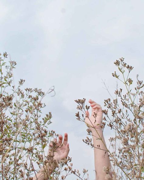 OBEDIENCE TO GOD Up To The Sky, Sky Photos, Happy Memorial Day, Pinterest Strategy, Tree Canvas, Sustainable Brand, Social Responsibility, Photography Portfolio, Hd Images