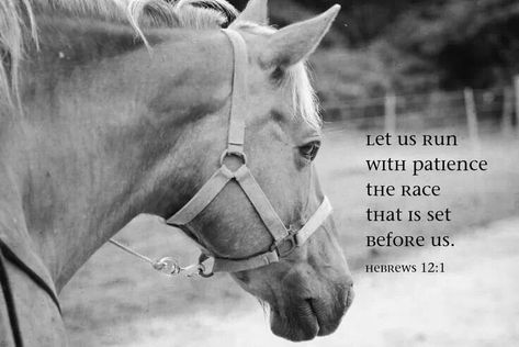 Cowgirl Secrets, Hebrews 12 1, Calming Songs, Inspirational Horse Quotes, Horse Riding Quotes, Equestrian Quotes, Cowboy Quotes, Dressage Training, Racing Quotes