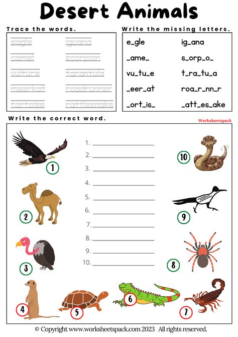 Desert Animals Worksheets for Kids - worksheetspack Desert Animals Worksheet, Desert Animals Printable, Animals Worksheets For Kids, Dessert Animals, Desert Ecosystem, Cold Deserts, Animal Worksheets, Desert Animals, Kindergarten Worksheets Printable