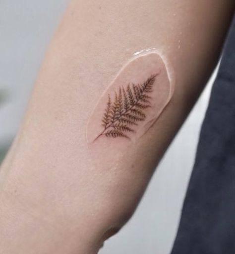 Matching Fern Tattoos, Small Fern Tattoos, Fern Tattoo Meaning, Red Fern Tattoo, Small Fern Tattoo, Silver Fern Tattoo, Tattoo Fern, Fern Tattoo, Tiny Tattoo