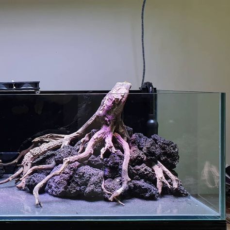 Finalizing layout for 100*42*28cm. #natureaquarium #anubiastank #aquascape #lavarock #anubias. Lava Rock Aquascape, Gourami Tank, Rock Aquascape, Water Terrarium, Aquarium Soil, Aquarium Garden, Freshwater Aquarium Plants, Amazing Aquariums, Cool Fish Tanks