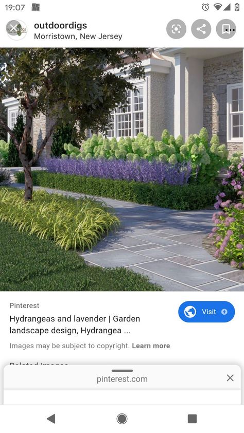 Colonial Front Yard Landscaping, Formal Gardens Front Yard, Hydrangea Hedge Front Yards, Layered Landscaping Front Yards, Boxwood And Hydrangea Landscaping, Flowerbeds Front Of House, Colonial Landscaping Front Yards, Lakehouse Garden, Delhi Farmhouse