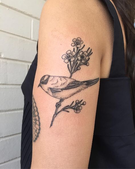 Canadian Flowers Tattoo, Geraldton Wax Flower Tattoo, Wax Flower Tattoo, Canada Tattoo, Wax Flower, Make Do And Mend, Wax Flowers, Inspirational Tattoos, Flower Tattoos