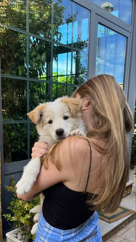 Cachorro vorder collie blanco // border collie puppy whitr Pet Photography Poses, Perros Golden Retriever, Border Collie Puppy, Collie Puppy, Dog Mommy, Golden Puppy, Border Collie Puppies, Super Cute Puppies, Fluffy Dogs