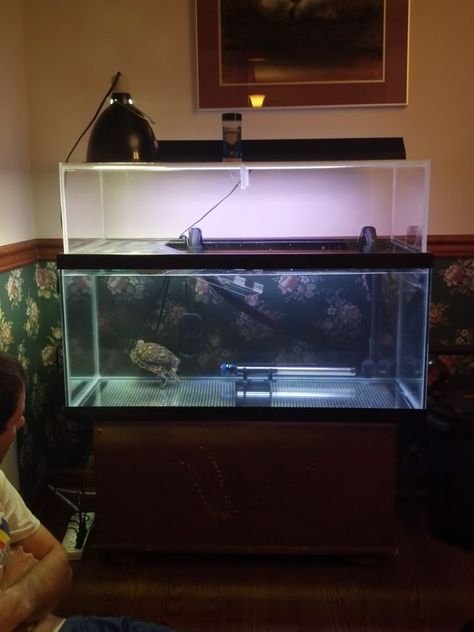 Step-by-step instructions on how to make this! Turtle Setup, Tartaruga Habitat, Aquatic Turtle Habitat, Aquatic Turtle Tank, Turtle Tank Setup, Turtle Enclosure, Turtle Basking Platform, Turtle Terrarium, Red Eared Slider Turtle