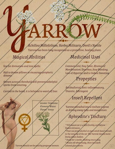 Book of Shadows Pages Flower Digital Download Grimoire | Etsy Herbal Correspondences, Herb Magic, Witchy Spells, Book Of Shadows Pages, Hoodoo Spells, Magickal Herbs, Witch Herbs, Green Witchcraft, Wiccan Magic