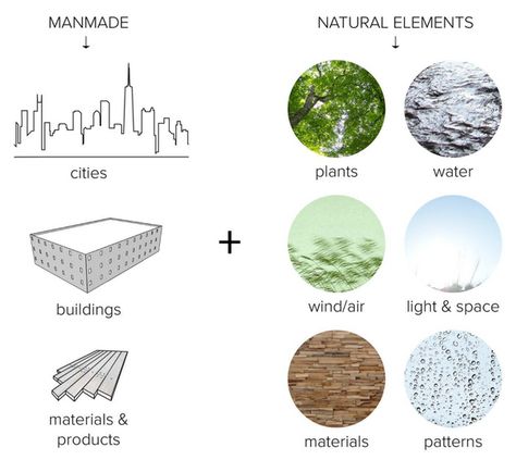 For millennia, human beings have lived close to nature; however, currently 54% of the world’s population are city dwellers, spending 93% of their time indoors. Due to the revitalizing properties of nature, a new concept called biophilic design has sprung up to solve this newfound disconnect between humans and nature. Biofilic Design, Biophilic Architecture, Humans And Nature, School Building Design, Campus Design, Eco Architecture, Interior Design Presentation, Biophilic Design, Architecture Design Sketch