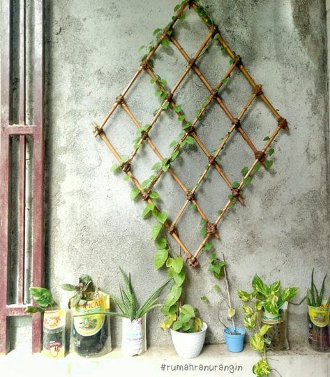 27 Gorgeous and Fresh DIY Trellis Ideas Houseplant Trellis, Diy Trellis Ideas, Indoor Plant Trellis, Indoor Vines, Diy Bamboo, Wire Trellis, Indoor Trellis, Bamboo Diy, Vine Trellis