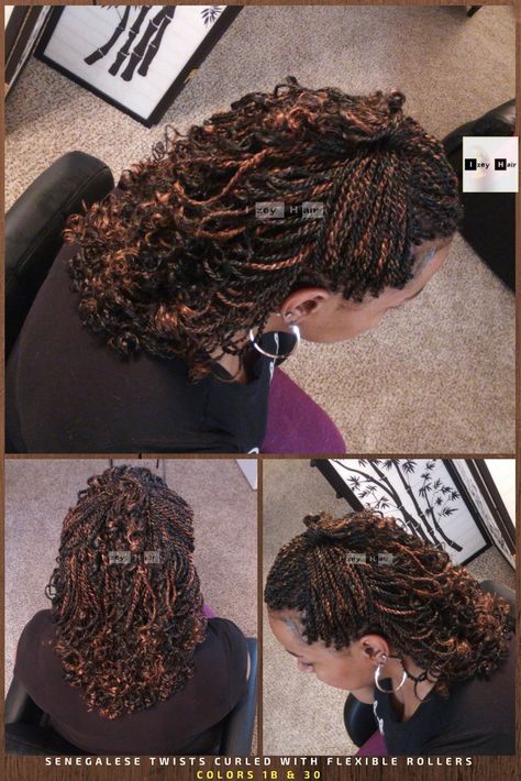 Curly Senegalese Twist, African American Hair Growth, Senegal Twist, Micro Braids Hairstyles, Colored Box Braids, African American Hair, Senegalese Twist Hairstyles, Senegalese Twist Braids, Twist Curls