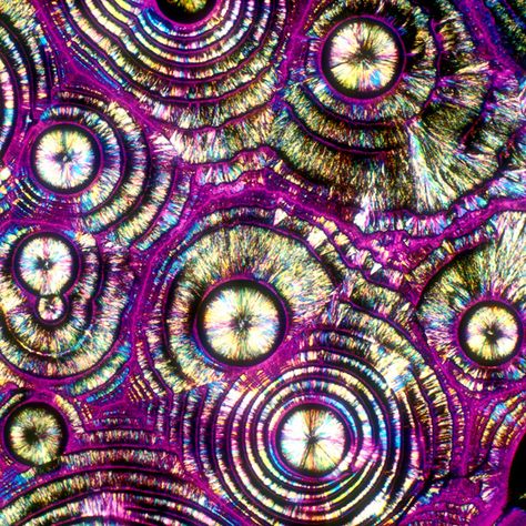 Vodka and tonic under a microscope. Now wonder I feel so happy when I drink them... Cocktails Vodka, Vodka Tonic, Microscopic Photography, Yoga Studio Design, Under A Microscope, Microscopic Images, Electron Microscope, White Russian, Microscopes